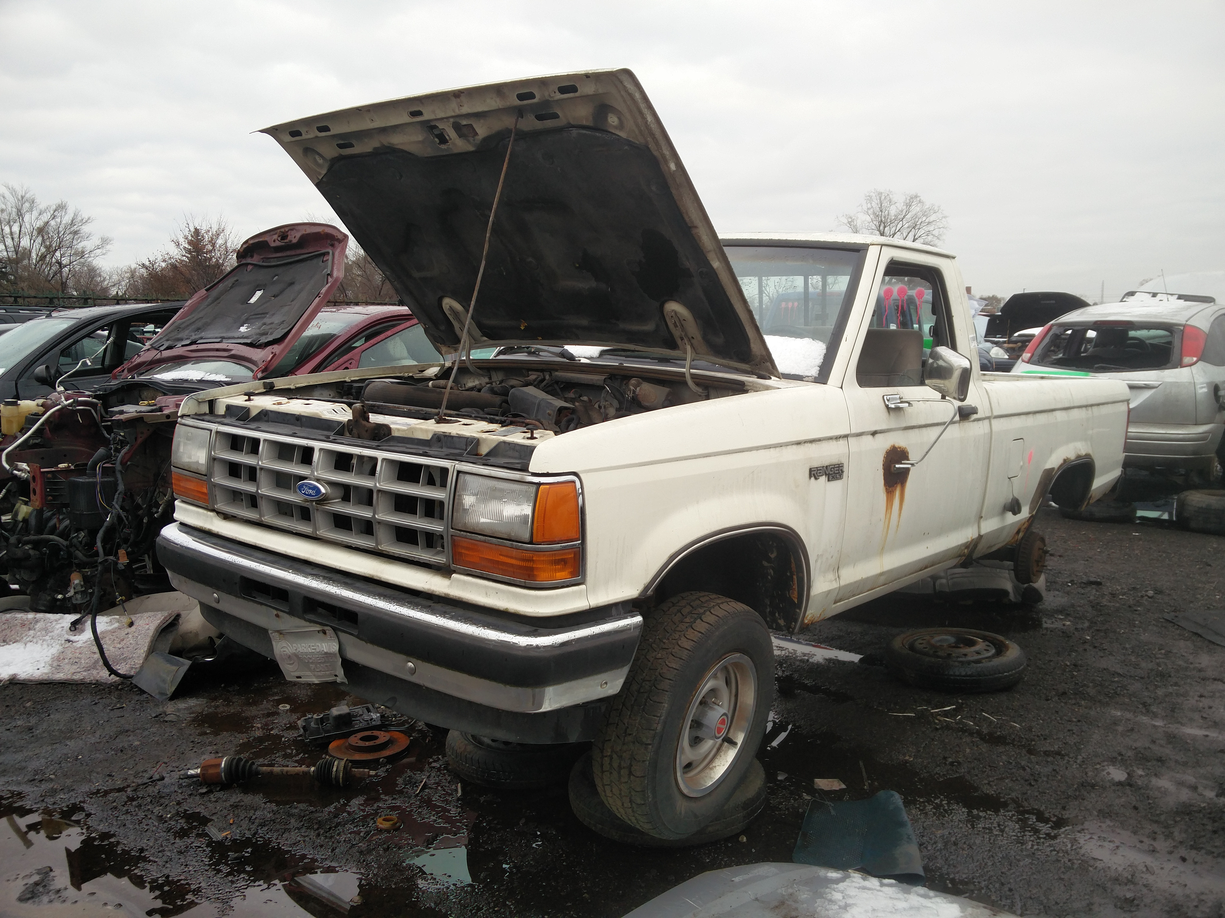 ibr55SI.jpg