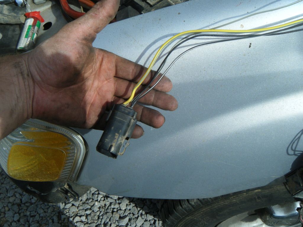 DSCF5606.jpg