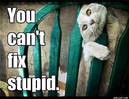 You_Can_t_Fix_Stupid.jpg
