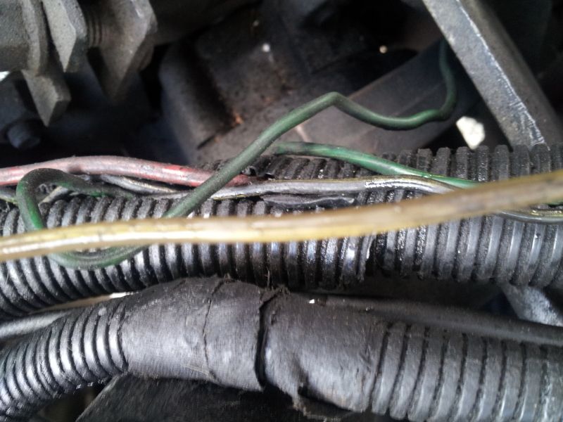 20120411_123912.jpg