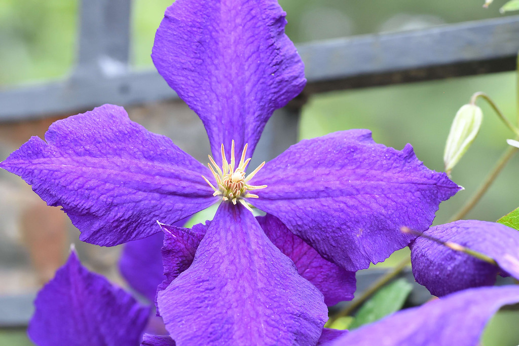 DSC_00292-XL.jpg