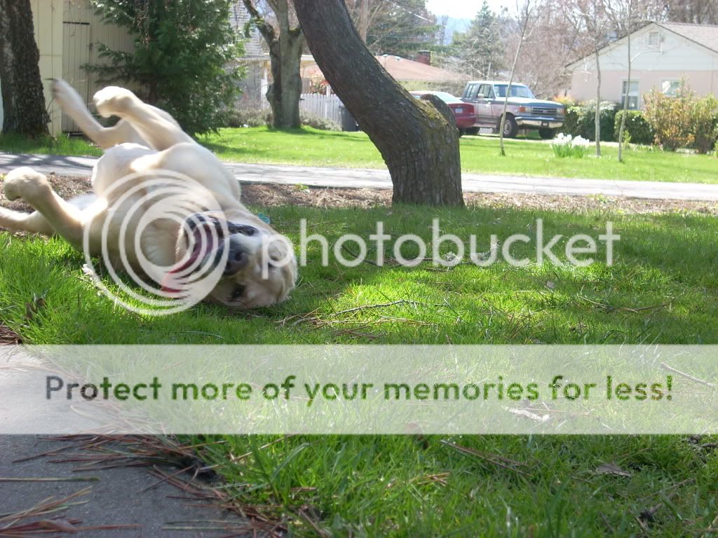 DSCN2203.jpg