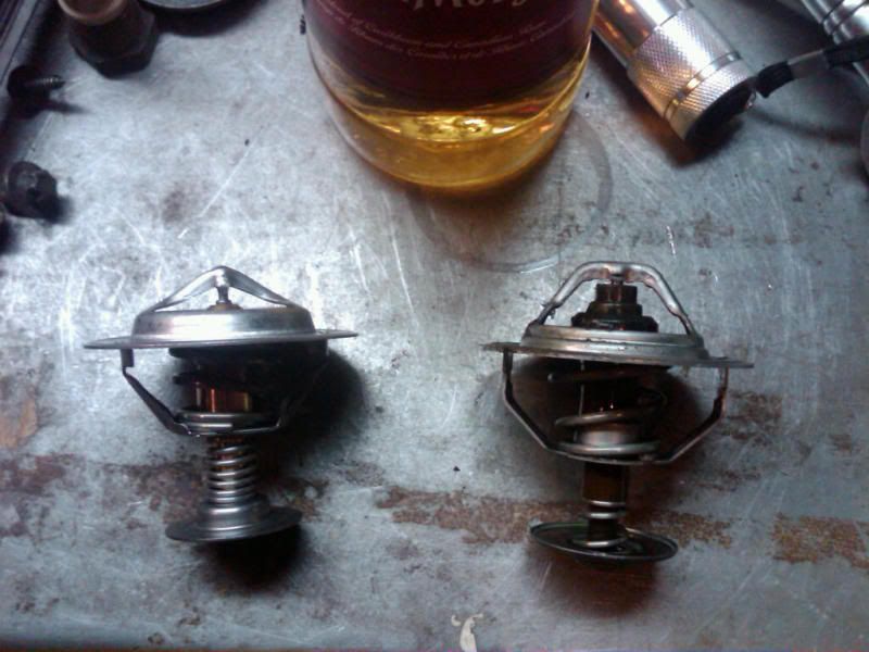 IMG00664-20110312-2312.jpg