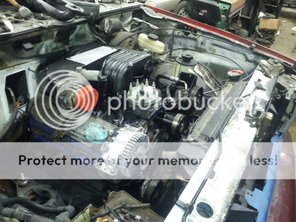 2012-11-18190735.jpg