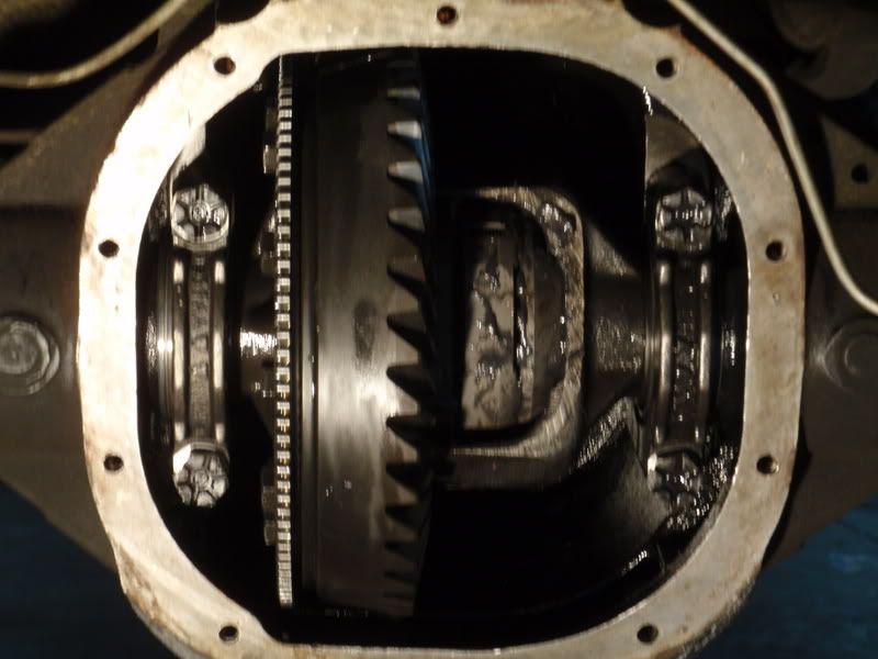 P3020070.jpg
