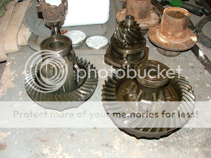 dana60005.jpg