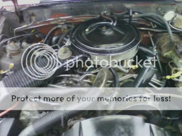 mustang6.jpg