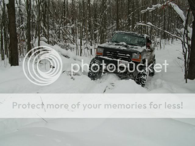 winter1.jpg