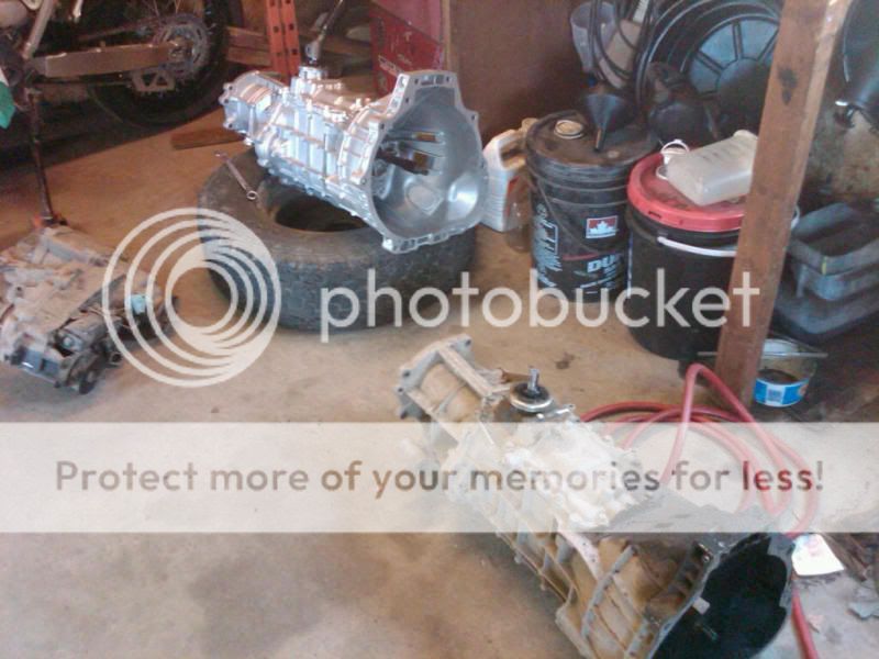 IMG00403-20101003-1617-1.jpg