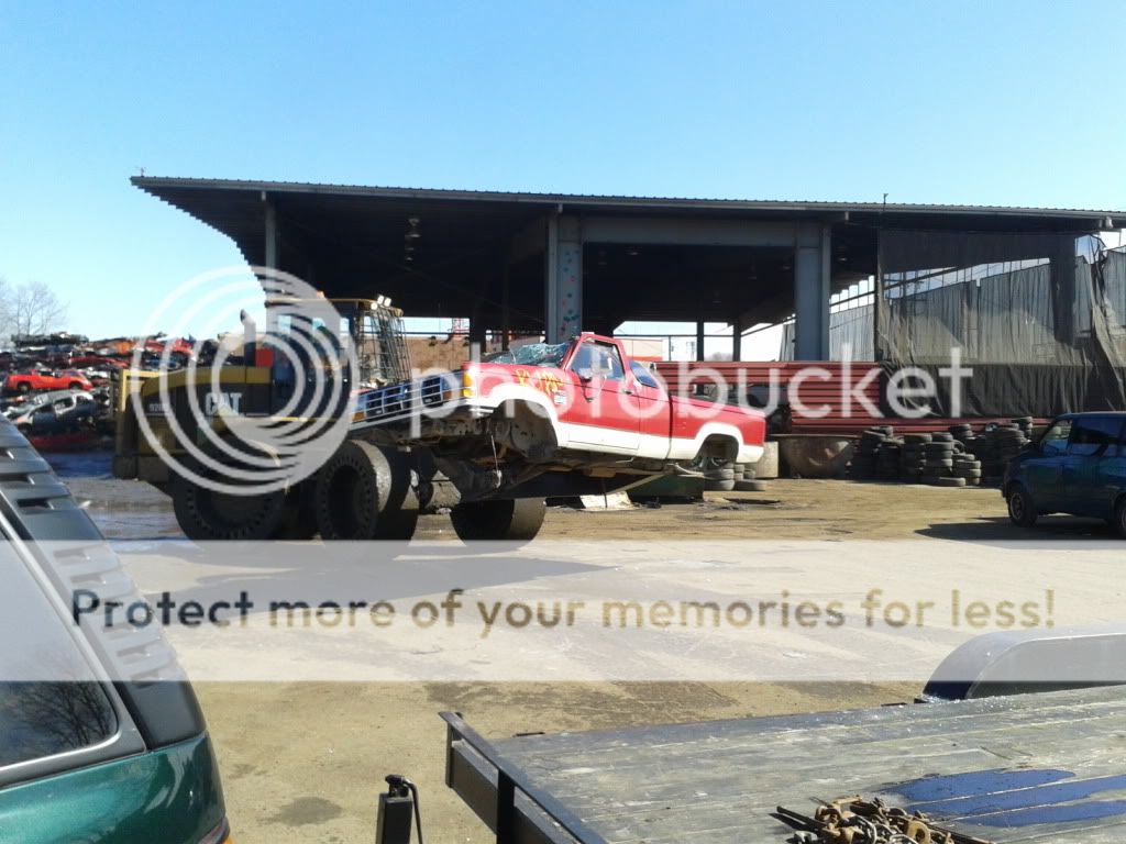 2012-03-24114348.jpg