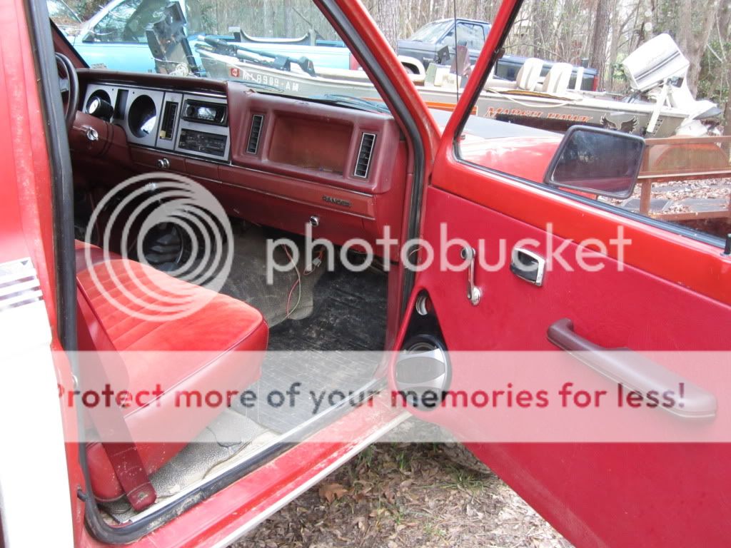 MorePictures231.jpg