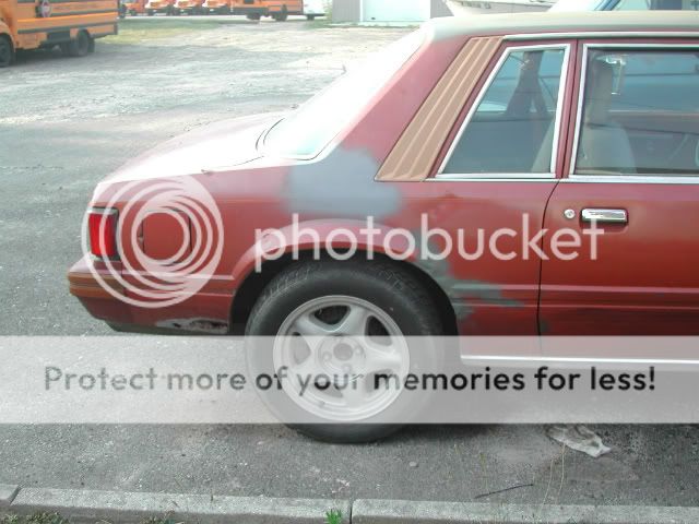 DSCN5953.jpg