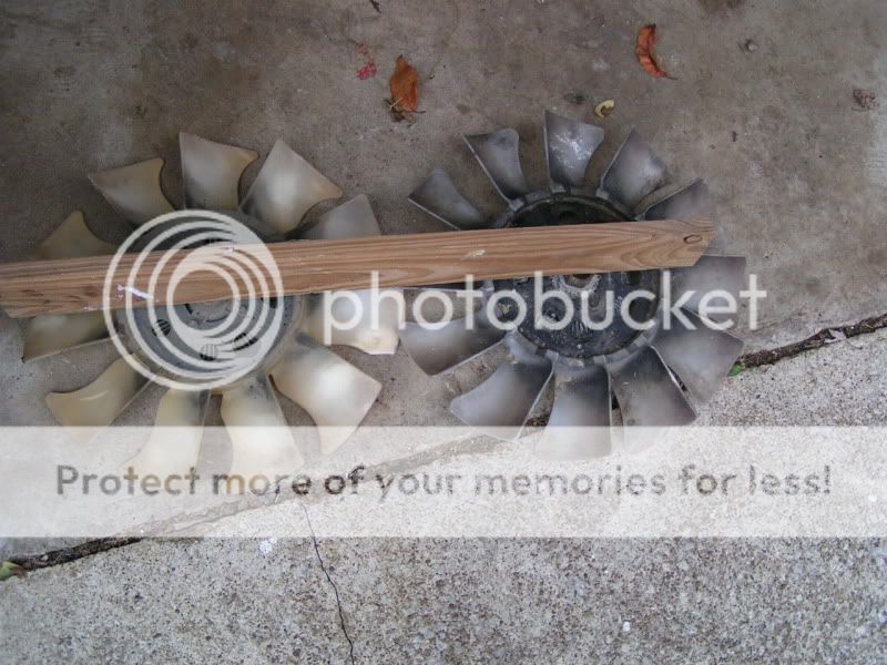 Thanksgiving041.jpg