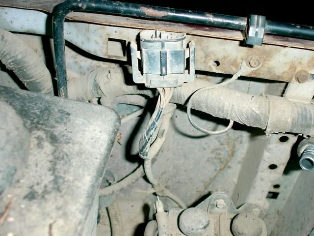 KIF_0034.jpg