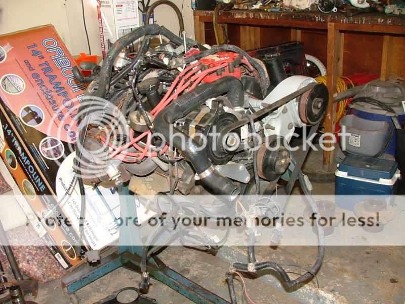 dana60004.jpg