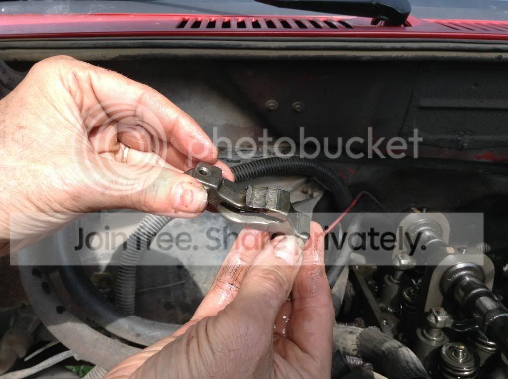 i think it's dead...