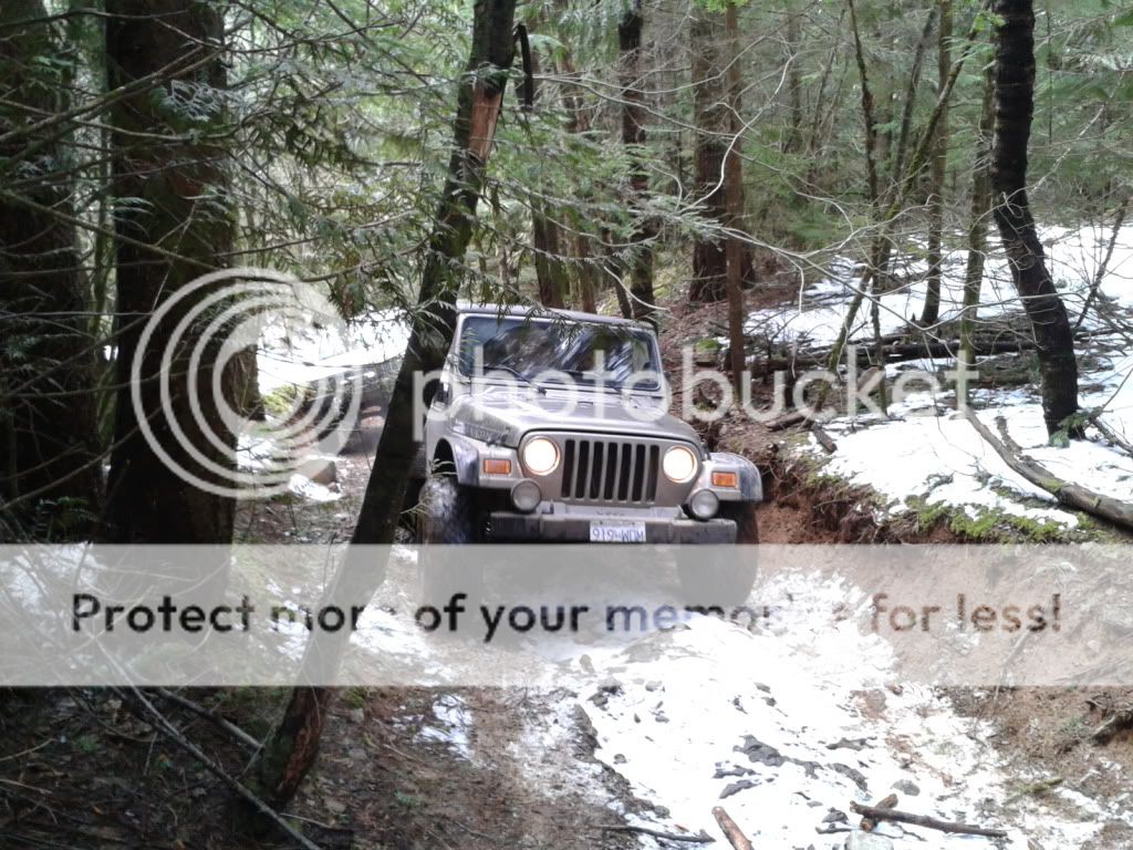 2012-04-06124116.jpg