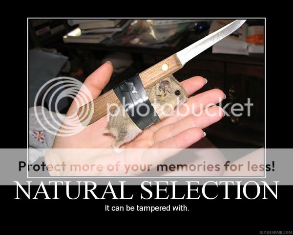 naturalselection.jpg