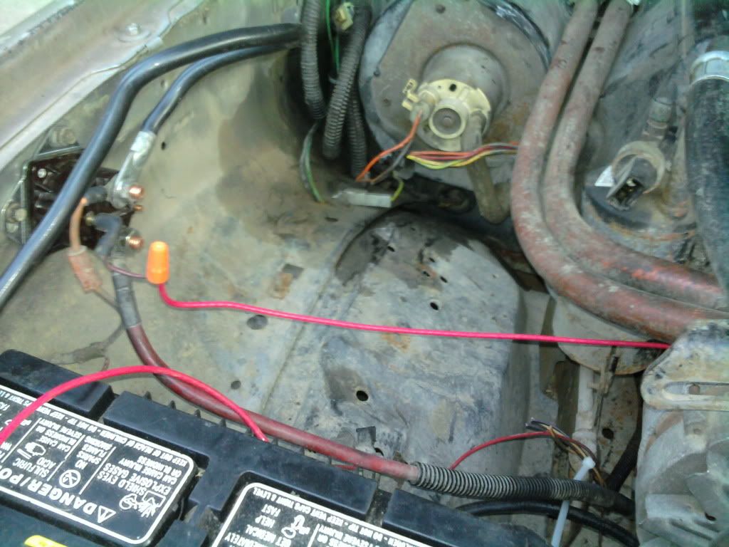 2010-10-16180309.jpg