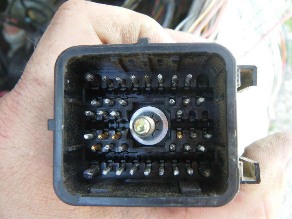 DSCF5613.jpg