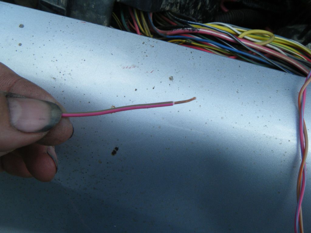 DSCF5622.jpg