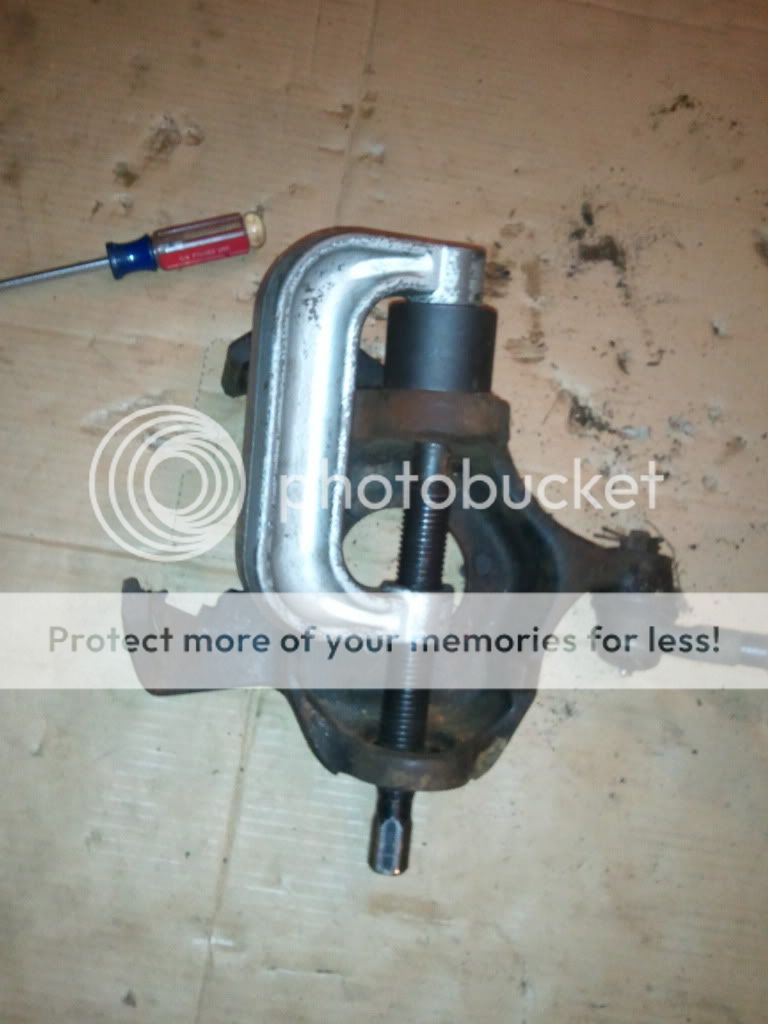 2011-02-02185715.jpg