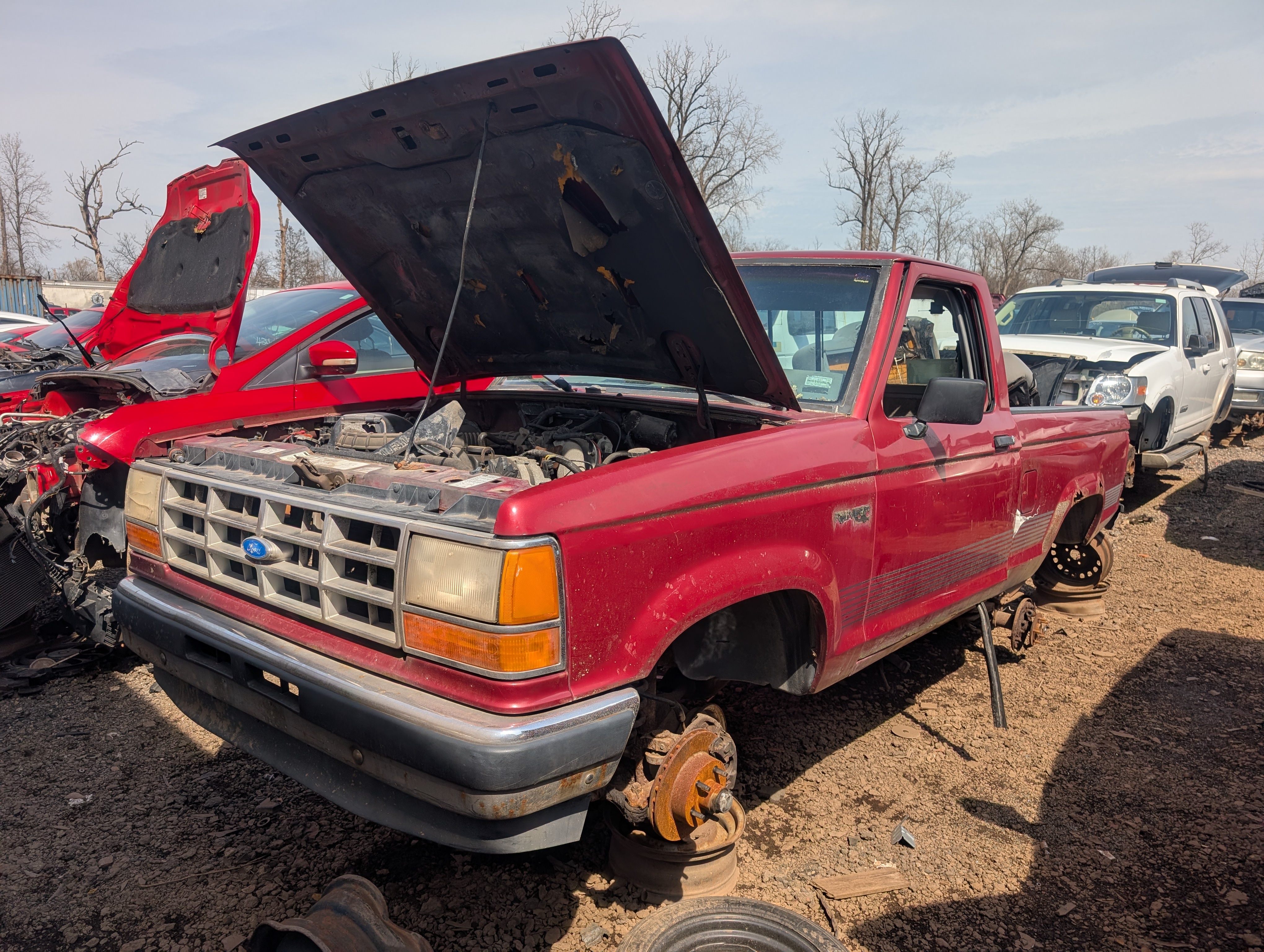 Detroit-area Junkyard Rangers - extremely pic-heavy