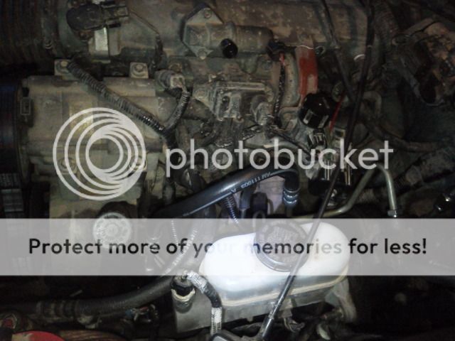 IMG_20121129_172159.jpg