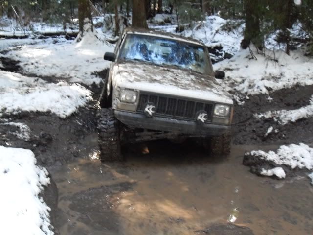 SDC11544.jpg