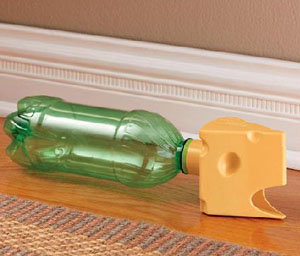 mice_trap_2.jpg