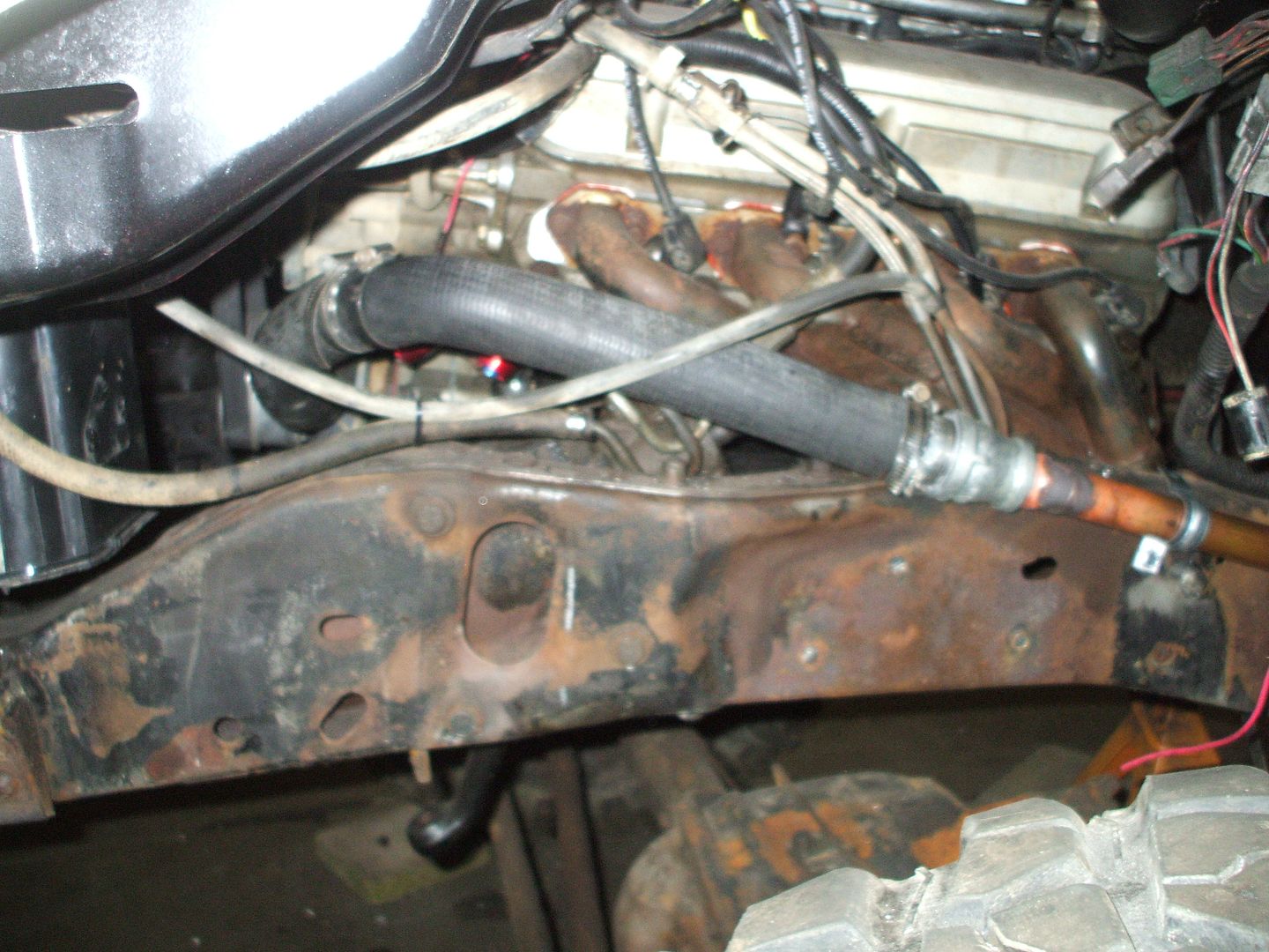 walker15005.jpg