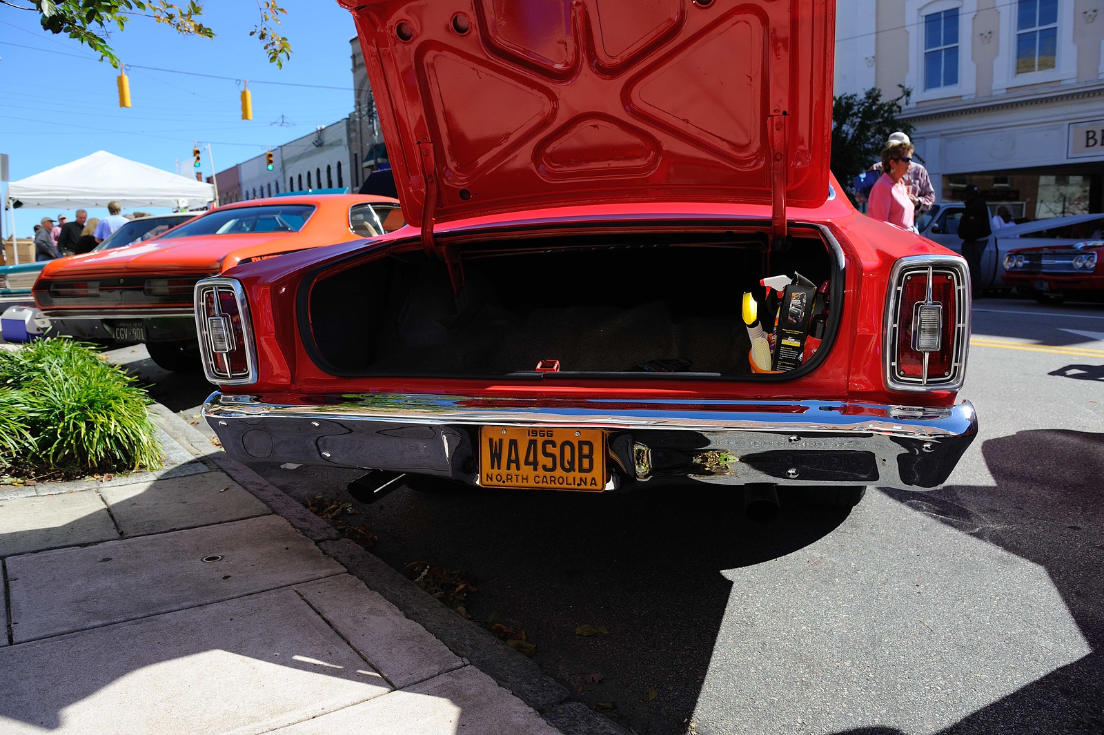 DSC0199-X3.jpg