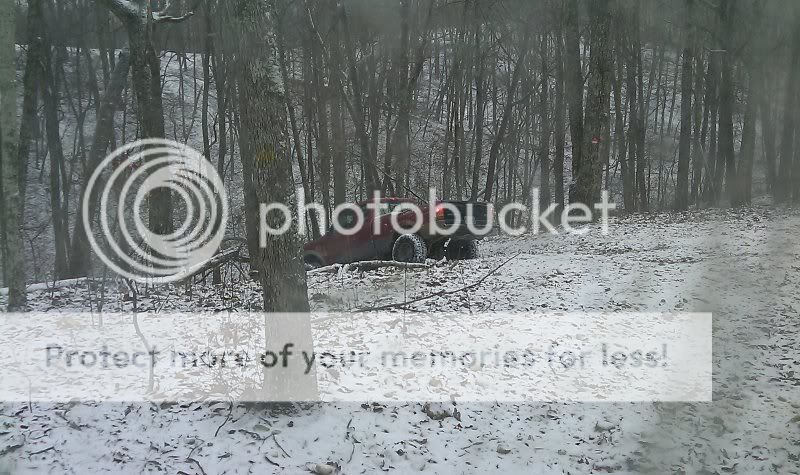 IMAG0489.jpg