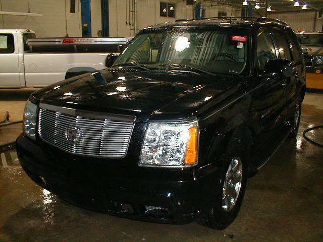 P1010003.jpg