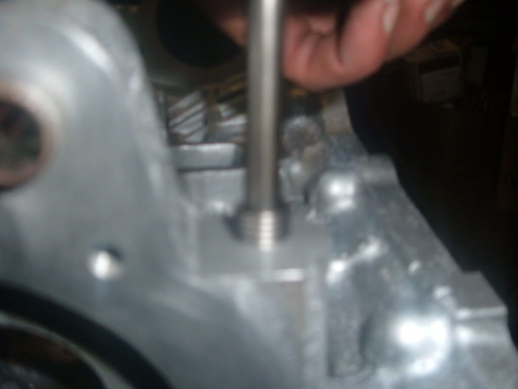 DSCF4395.jpg