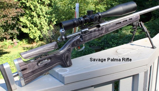 savpalma01.jpg