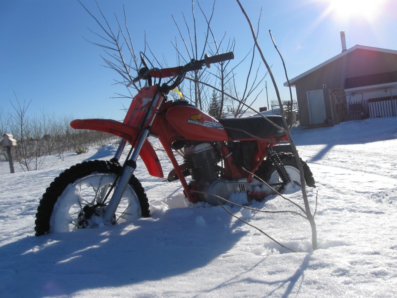 pbpic2901680.jpg