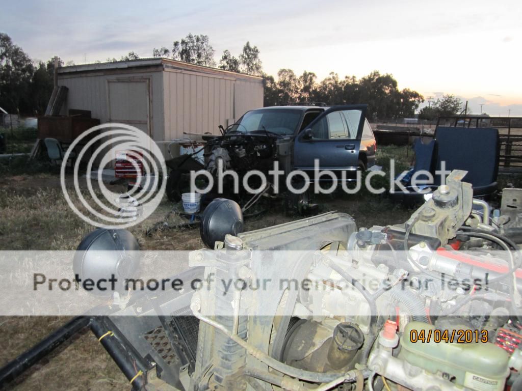 IMG_2338_zps1db9bc53.jpg