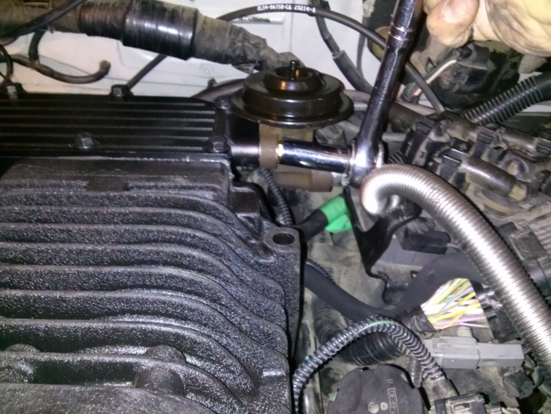 4LV6CologneInstall-92.jpg