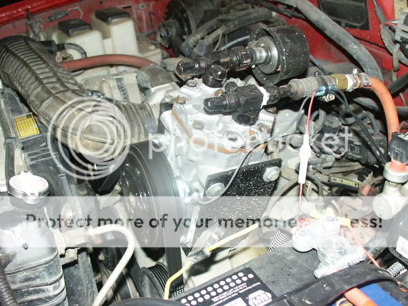 PICT0284.jpg