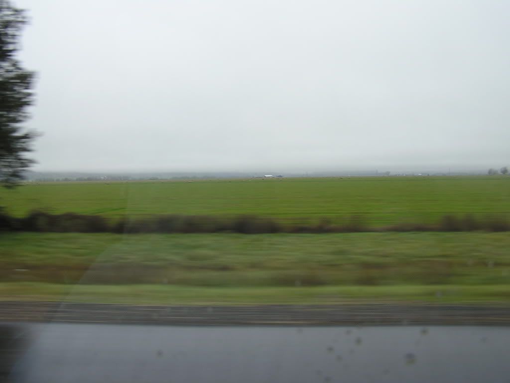 P1010012.jpg