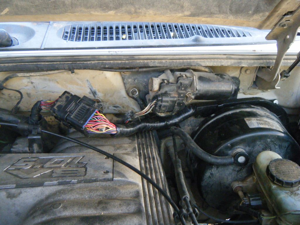DSCF5630.jpg