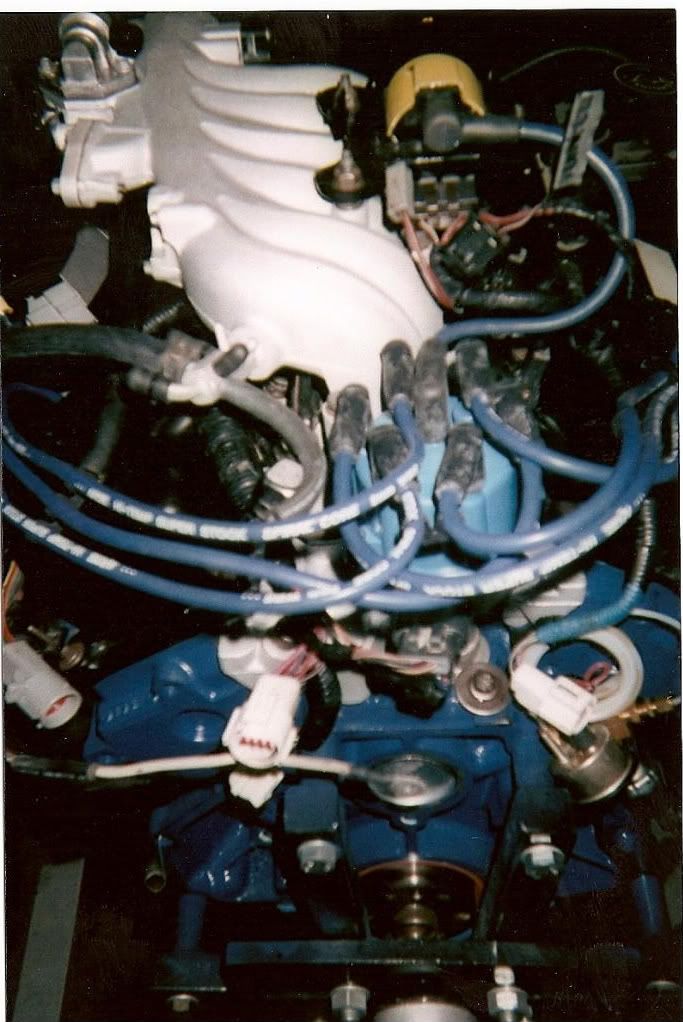 scan0211.jpg