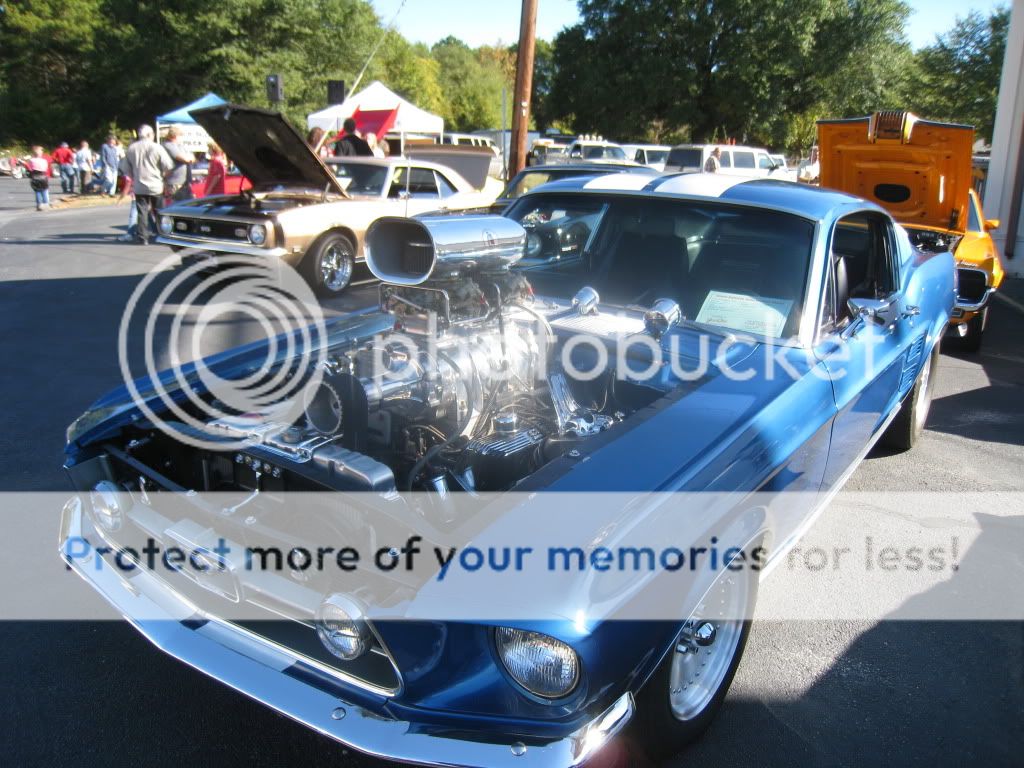 IMG_0162.jpg