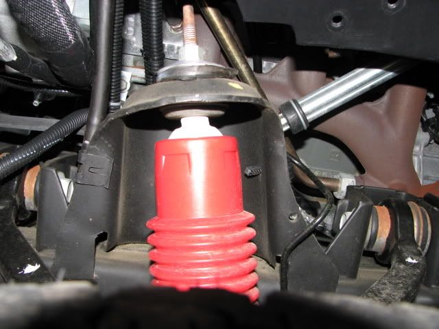 RangerPics006.jpg