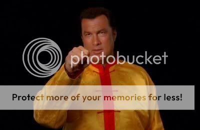 steven-seagal-puncher.jpg