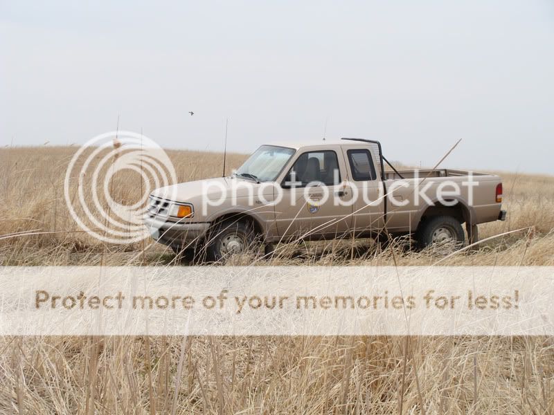 HAPETUSFWSwork0105.jpg
