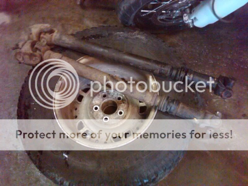 IMG00736-20110402-1126.jpg