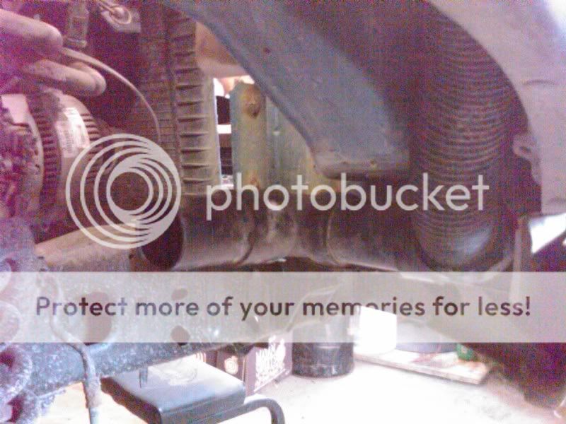 IMG00807-20110416-1754.jpg