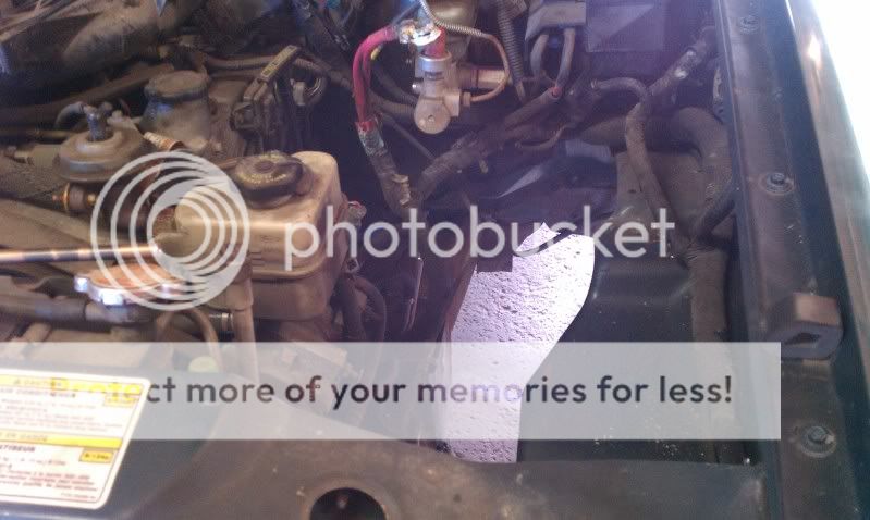 IMAG0006.jpg